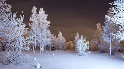 Улица, снегопад, зима Обои 1170x2532 iPhone 13, 13 Pro, 12, 12 Pro