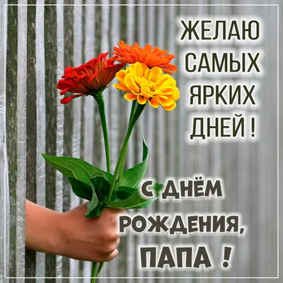Папин день рождения. Цветение в Томске. На катере по Томи | Семья Хомченко  | Дзен