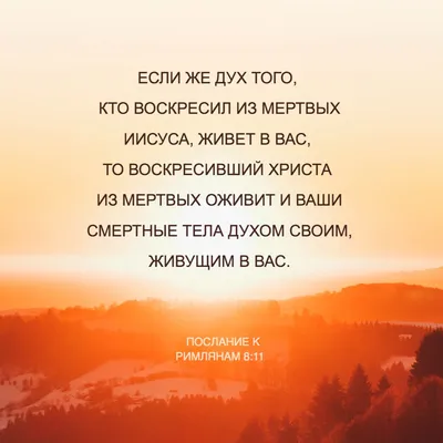 Поздравления с Пасхой-2022: красивые стихи и открытки | ВЕСТИ