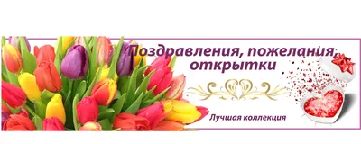 https://glavred.info/congratulations/s-dnem-rozhdeniya-podruga-iskrennie-pozdravleniya-krasivye-otkrytki-i-kartinki-blizkomu-cheloveku-10386665.html