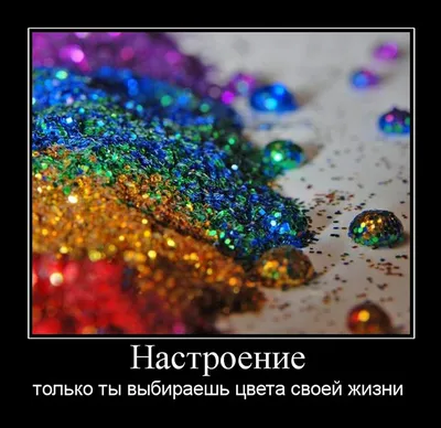 Смешные фразы и афоризмы со смыслом: 50+ высказываний