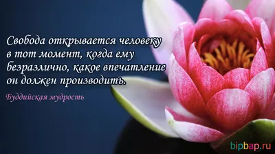 Renaissance Art Group: профиль на Руварде