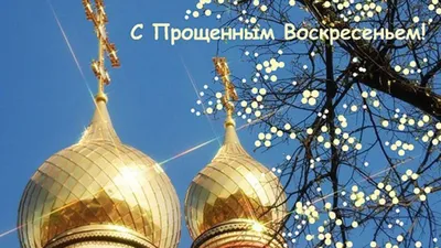 ПРОЩЕНОЕ ВОСКРЕСЕНЬЕ — обсуждение в группе \"Разговоры обо всем\" | Птичка.ру