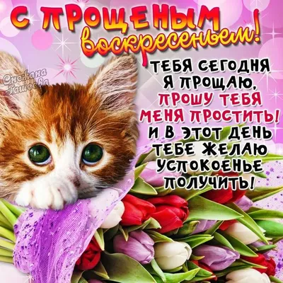 Сегодня — Прощёное воскресенье | Приазовская степь