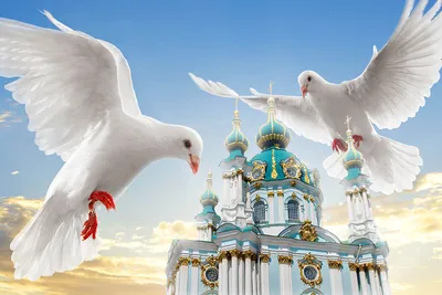 Прощеное воскресенье в 2023 году: какого числа праздник, как просить  прощения