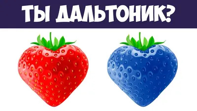 История о том, как в военное училище поступил дальтоник | Записки бешеного  графомана | Дзен
