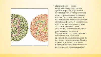 Собаки дальтоники - 60 фото