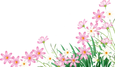 Картинки На Прозрачном Фоне, HD Png Download - vhv