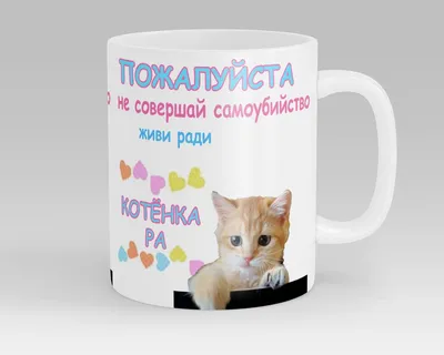 Кружка СОМНИТЕЛЬНЫЕ ПОВОДЫ ЖИТЬ \"Живи ради Котёнка Ра Пирокинезис  PYROKINESIS\", 330 мл, 1 шт - купить по доступным ценам в интернет-магазине  OZON (711145239)