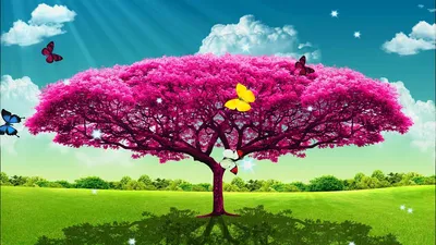 Обои Природа Луга, обои для рабочего стола, фотографии природа, луга, лето,  небо, луг, клевер Обои для рабочего стола, скачать обои картинки заставки  на рабочий стол.
