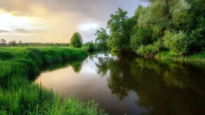 Русское лето - обои для рабочего стола, картинки, фото