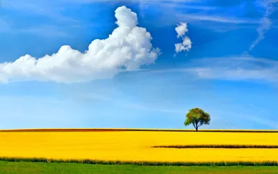 Качественные HD обои весна для рабочего стола 2560x1600