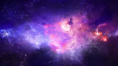 Обои лето 1280x1024, летние цветы, скачать обои высокого качества