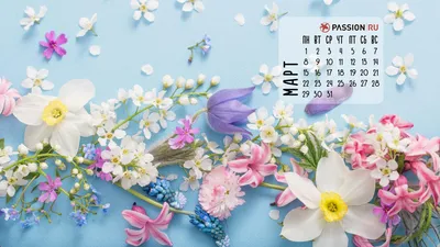 Обои для рабочего стола от Passion.ru: март 2021 - Страсти