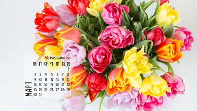 Обои для рабочего стола от Passion.ru: март 2020 - Страсти