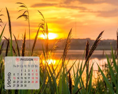 Обои для рабочего стола от Passion.ru: июнь 2022 - Страсти