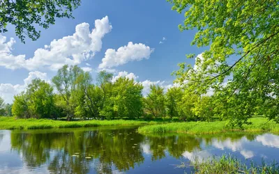 Обои весна 1280x800, картинки, фото обои весенней природы для рабочего стола