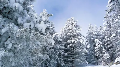Природа - Обои 1366x768 - стр 5 - Горы, Горные реки, Айсберг, Ночь, Харбор,  Зелёная река