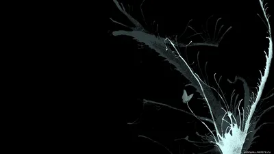 Фоновый рисунок на рабочий стол 1366х768 (50 фото) » рисунки для срисовки  на Газ-квас.ком