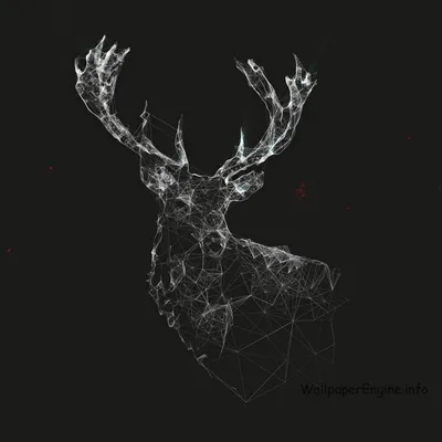 Живые обои Minimal Plexus Deer [1920x1080] - Wallpaper Engine