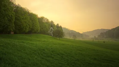 Картинка на рабочий стол природа, весна, после дождя, лес, трава, закат 1920  x 1080