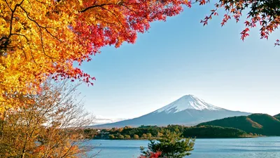 Картинка на рабочий стол осень, вода, фудзияма, деревья, горы, озеро,  природа 1920 x 1080