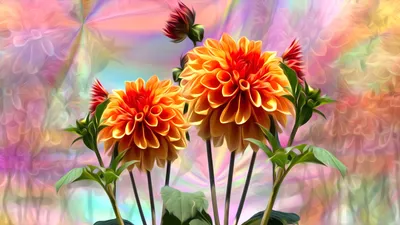 Широкоформатные (HD 1920x1080 и больше) обои для рабочего стола Windows