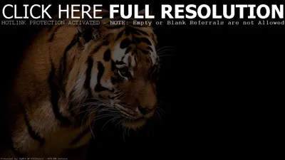 70 Black Full HD Wallpapers (50 обоев) » Обои для рабочего стола, красивые  картинки. Ежедневно
