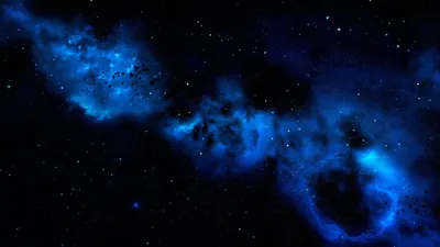 Скачать обои небо, обои на рабочий стол, цветы, весна, трава разрешение  1920x1080 #13231