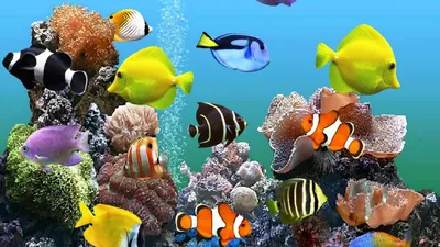 Купить Картина с струящимся песком, круглая 3D песочные часы,  художественная картина с движущимся песком, пейзажная живопись, зыбучие  пески, украшение для домашнего рабочего стола 7/10 дюймов | Joom