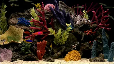 Обои \"3D\" на рабочий стол, скачать бесплатно лучшие картинки 3D на заставку  ПК (компьютера) | mob.org