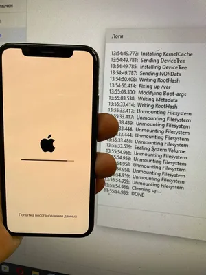Картинка Golden Apple Logo для телефона и на рабочий стол iPhone 5S
