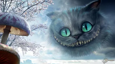 Скачать обои Алиса в Стране чудес (Кот, Гриб, Алиса в Стране чудес) для рабочего  стола 1280х720 (16:9) бесплатно, Картинки Алиса в Стране чудес Кот, Гриб,  Алиса в Стране чудес на рабочий стол. |