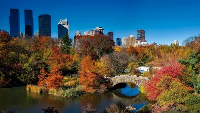 Картинка на рабочий стол америка, здания, небоскребы, chicago, чикаго, сша,  высотки 1280 x 1024