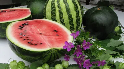 Обои Еда Арбуз, обои для рабочего стола, фотографии еда, арбуз, water,  melon, ломтик, кусок, берег, пляж Обои для рабочего стола, скачать обои  картинки заставки на рабочий стол.