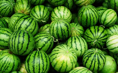 Обои Еда Арбуз, обои для рабочего стола, фотографии еда, арбуз, арбузы,  green, fruit, watermelon Обои для рабочего стола, скачать обои картинки  заставки на рабочий стол.