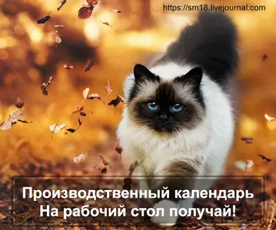 ВЕСТИ ИЗ АРХИВА ОБЛАСТИ ЖЕТЫСУ – Институт истории и этнологии имени Ч. Ч.  Валиханова