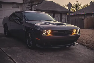 Заставка на рабочий стол Автомобили, Ford, Shelby Mustang HD | Лучшие  Бесплатные заставки