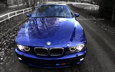 BMW ///M5 Е39 | BMW Club Ukraine