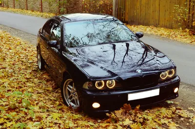 Обои на рабочий стол BMW E39 M5 черного цвета стоит на дороге в лесу, обои  для рабочего стола, скачать обои, обои бесплатно