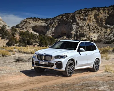 Обои bmw x5, новинка, bmw, авто, колесо, шина картинки на рабочий стол,  фото скачать бесплатно