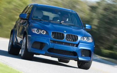 STRUT BMW X5 Cologne фото №56503 | автомобильная фотогалерея STRUT BMW X5  Cologne на Авторынок.ру