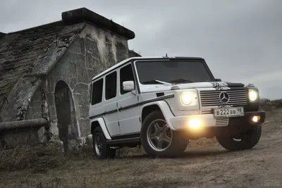 Скачать обои mercedes-benz, гелик, собака, раздел машины в разрешении  2400x1600