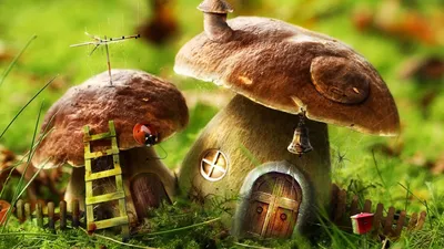Обои Грибы-домики, картинки - Обои для рабочего стола Грибы-домики фото из  альбома: (фэнтези)