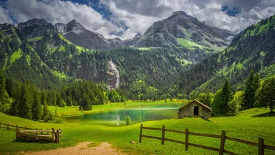 Обои Разрешение 1600x900, раздел Природа, размер 1600x900 HD - скачать  бесплатно картинку на рабочий стол и телефон
