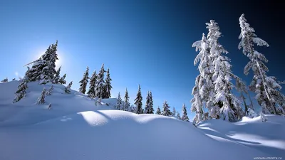 Скачать 1920x1080 франкенштейн, персонаж, минимализм обои, картинки full hd,  hdtv, fhd, 1080p