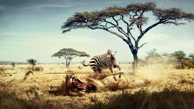 Full HD Wallpapers Pack (70) - обои на рабочий стол (74 обоев) » Обои для рабочего  стола, красивые картинки. Ежедневно