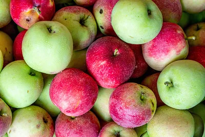 Обои для рабочего стола Яблоки Продукты питания вблизи