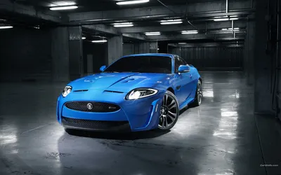 Пантера Jaguar Cat Felidae Cougar, ягуар, животные, кошка Like Mammal, обои  для рабочего стола png | Klipartz
