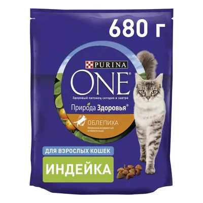 Обои кошки - красивые фото